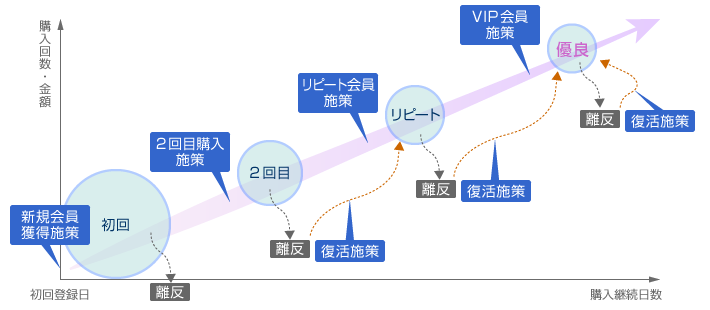 顧客育成シナリオ図|新規会員獲得施策、リピート会員施策、VIP会員施策、離反・復活施策