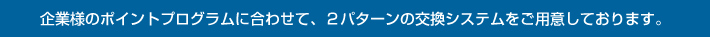 企業様のポイントプログラムに合わせて、2パターンのシステムをご用意しております。