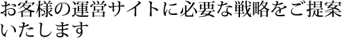 お客様の運営サイトに必要な戦略をご提案いたします